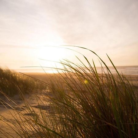 Kleine Nordseewelle Ohne Hund Norden Exterior foto